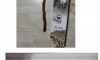 100살 되면 국가에서 주는 보상