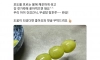 요즘 뜨고 있다는 무설탕 탕후루
