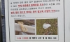 성(性)스러운 아파트
