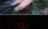 사진 컨셉 특이한 존예 언더붑녀