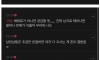 얼굴이 보이는 것같은 게시글