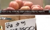 돌아버린 요즘 시장 농산물 물가 근황
