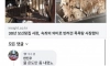 물 온도만 내려서 업종 변경한 사장