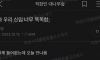 와 우리 회사 신입 너무 똑똑함