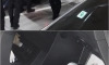 차에서 똥냄새 나면 조심해야 하는 이유