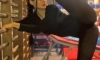 제대로 벌릴줄 아는 쩍벌녀
