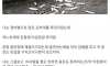 전국 도입이 시급한 담배 꽁초 처리 방식