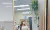 중소기업 경리 여직원 평균 얼굴 & 몸매