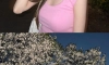 벚꽃놀이 즐기고 있는 소녀시대 서현
