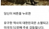 미국에 나라 팔면 1000만 달러 받음