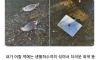 깨끗해진 하천에 나타난 뜻밖의 외래종