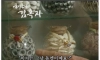 제주 해녀 할머니가 취미로 모은 수집품