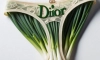 디올(Dior) 신상