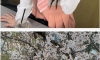 반박 거절하는 요즘 스포츠 아나운서 미모 1위