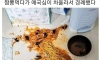 짬뽕먹다가 애국심이 차올라서 경례했다