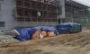 실시간 노가다 추노 중이다 야발