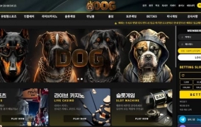 도그  먹튀