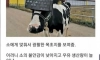 사이버펑크
