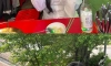 웬만한 대학교 먹이사슬 최상위