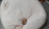 쪼끄만 고양이