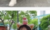 한국에 놀러왔다는 AV 여배우
