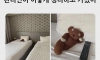 곰인형을 호텔 방에 두고 나갔다 왔더니