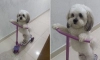 킥보드 빼앗겼다고  엉엉 울고 오는 아들보고 화났는데..