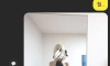 세이버 얼터 좋아하세요?