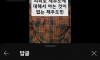 도민만 가는 제주도 맛집