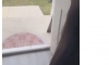 미국에서 까르보 불닭 인기 체감