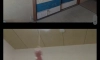 일본 Z세대 사이에서 유행하는 차별 용어