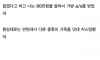 내 명품백에 커피 쏟은 동기
