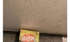 홈런볼로 여자 쉽게 꼬시는 법