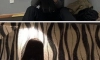 밧줄 플레이 당하는 누나들