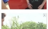 장래가 기대되는 아메리칸 잼민이