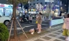 중국인들 많은 제주도 근황