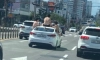 도로에서 더위 버티는법