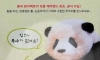어메이징 푸바오 굿즈 가격