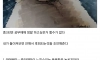 05년생 아재다 인생 조언하고 간다