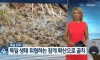 독일, 참게의 습격으로 생태계 위협
