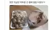 순대 좋아하는 아가씨가 간 많이 달라하자
