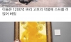 기름을 쓰지 말자는 환경단체 시위