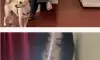 15kg 감량했다는 솔비 근황