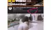 한 분야의 정점을 찍어도 쓸모없는 이유