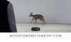중고차 보러온 손님 119 불러서 내쫓은 매장