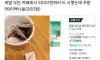 260원으로 5500원 버는법