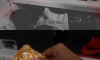 줄리엔강 대물 인증샷