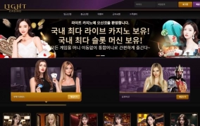 라이트 먹튀