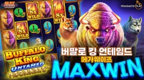 온라인 슬롯 사이트 후기 [프라그마틱 플레이] 버팔로 킹 언테임드 메가웨이즈 10,000배 맥스윈!!- 슬롯…