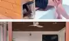 수원특례시 몸스타그램 신작
